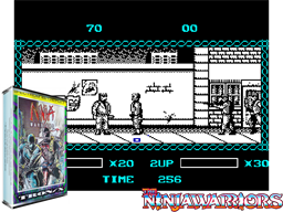Ninja Warriors, The